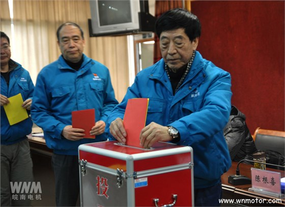 皖南電機(jī)陳根喜、管兵在投票現(xiàn)場(chǎng)