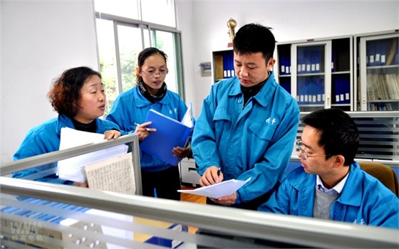 皖南電機內審人員在部門審核