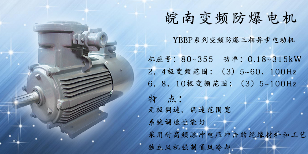 變頻防爆電機(jī) 變頻防爆電機(jī)