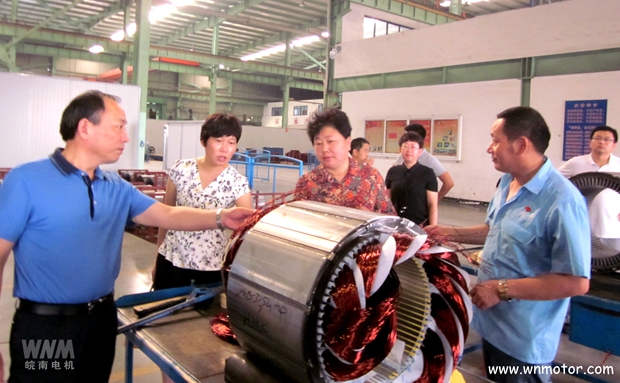 宣城市副市長(zhǎng)到皖南電機(jī)威能公司視察 宣城市副市長(zhǎng)到皖南電機(jī)威能公司視察