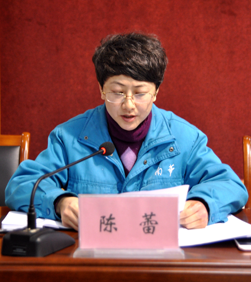 陳蕾作《關(guān)于轉(zhuǎn)增股本的議案報(bào)告》 陳蕾作《關(guān)于轉(zhuǎn)增股本的議案報(bào)告》