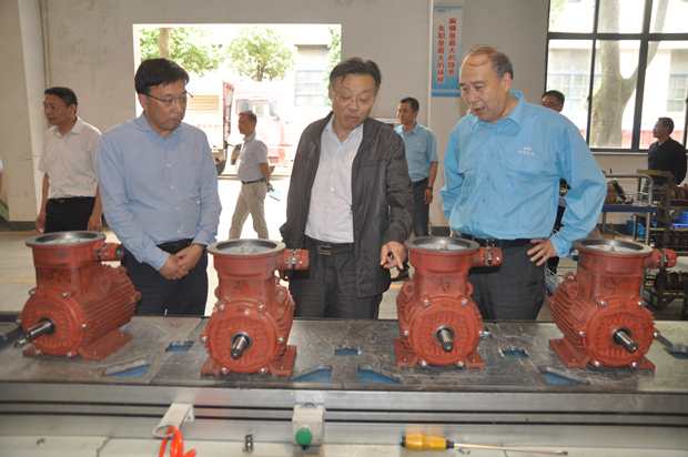 省自然資源廳副廳長潘海濱(中)在皖南電機車間調(diào)研 省自然資源廳副廳長潘海濱(中)在皖南電機車間調(diào)研